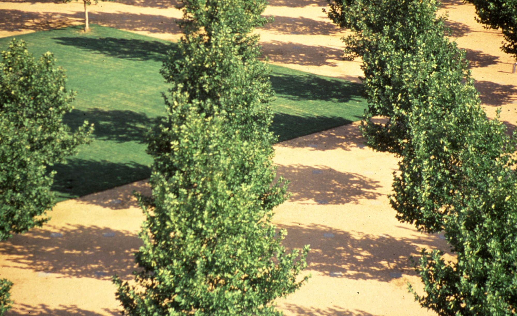 IBM Solana — PWP-5