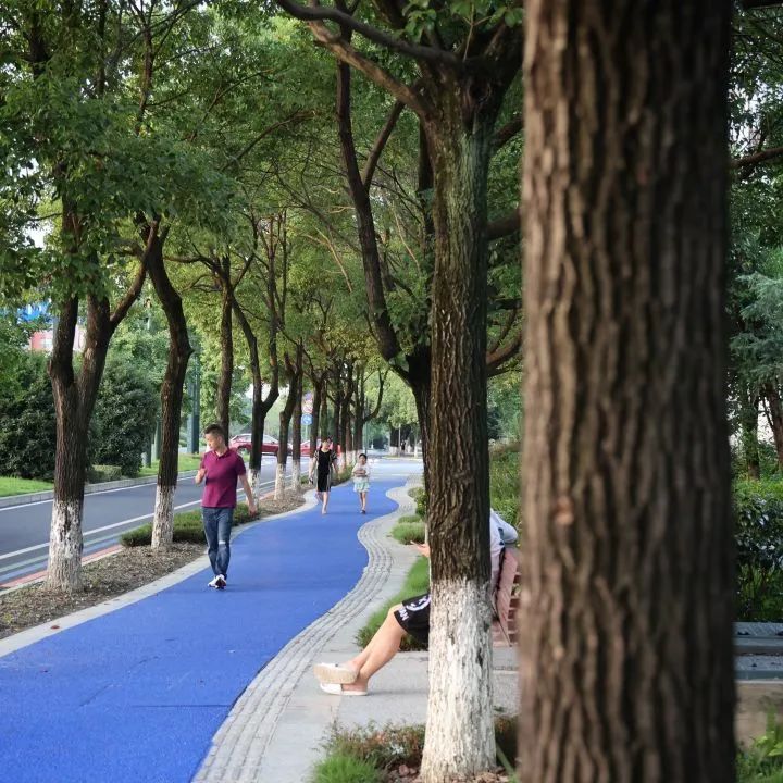 yǒu作品 |  蜀龙大道——公园城市街道一体化践行-58