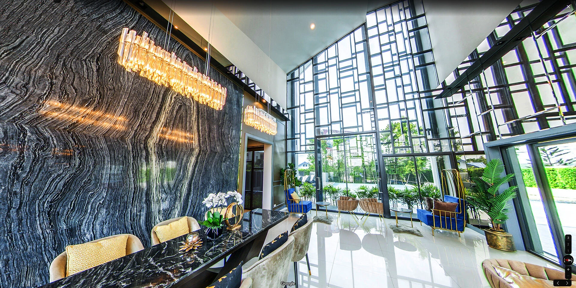 植物精英和帕森-35