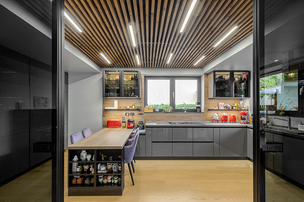 房子丨罗马尼亚布加勒斯特丨Reflex Architecture-7