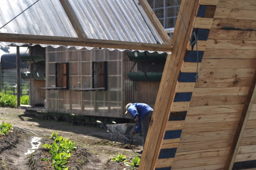 Lim'uhphile Co-op / Collectif saga-32