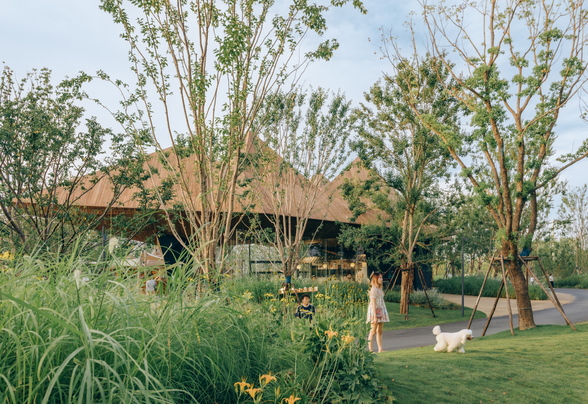 丨中国武汉丨DL Atelier-50