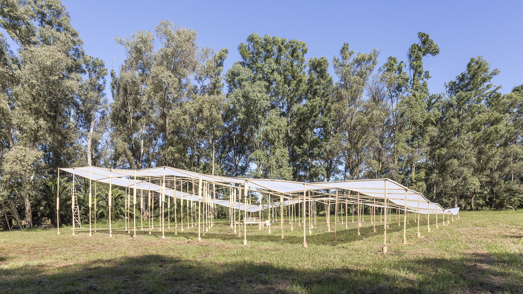 你好，木头！阿根廷的建筑教育暑期学校 / Hello Wood-14