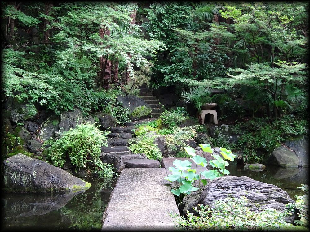 青松寺庭園丨日本京都丨岩城造園-11
