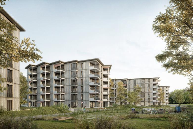 Wohnsiedlung Lerchenweg 住宅丨瑞士丨Fischer Architekten AG-0