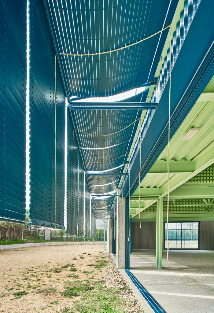 西班牙布鲁内特犬类培训学校丨西班牙马德里-5