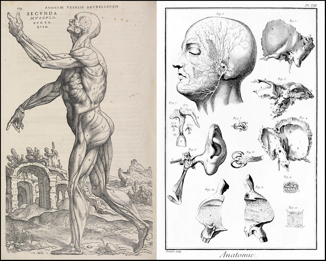 乌拉圭国家银行疗养院及康复中心设计项目丨Guerra De Rossa Arquitectos等团队-12
