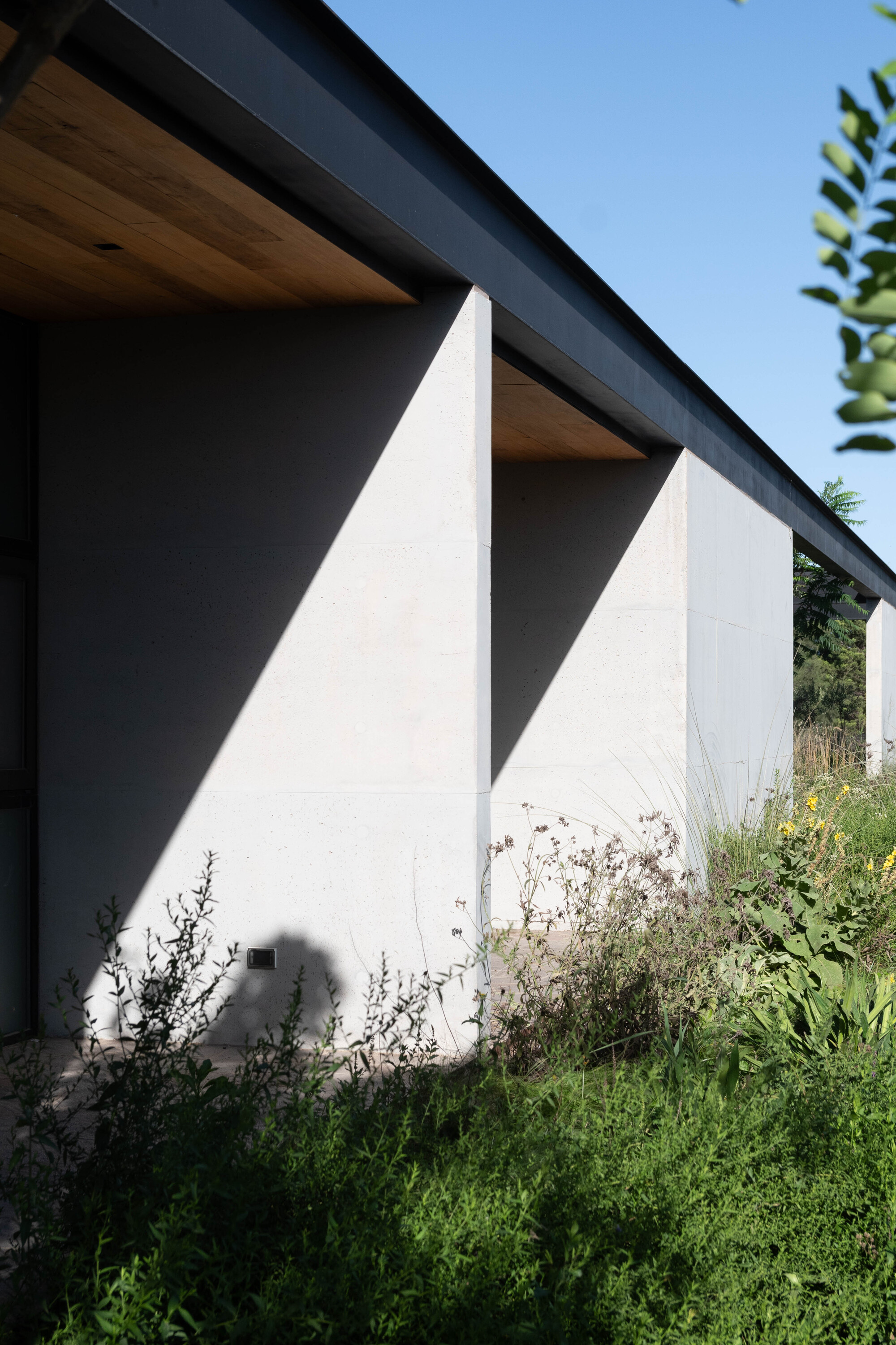 卡纽埃拉斯宅邸丨阿根廷科尔多瓦丨3164.estudio,SDF Arquitectos-19