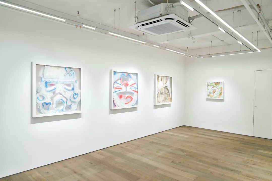 熠熠 BLINK BLINK · 高少康个展丨中国深圳丨野松画廊 X the a gallery-12