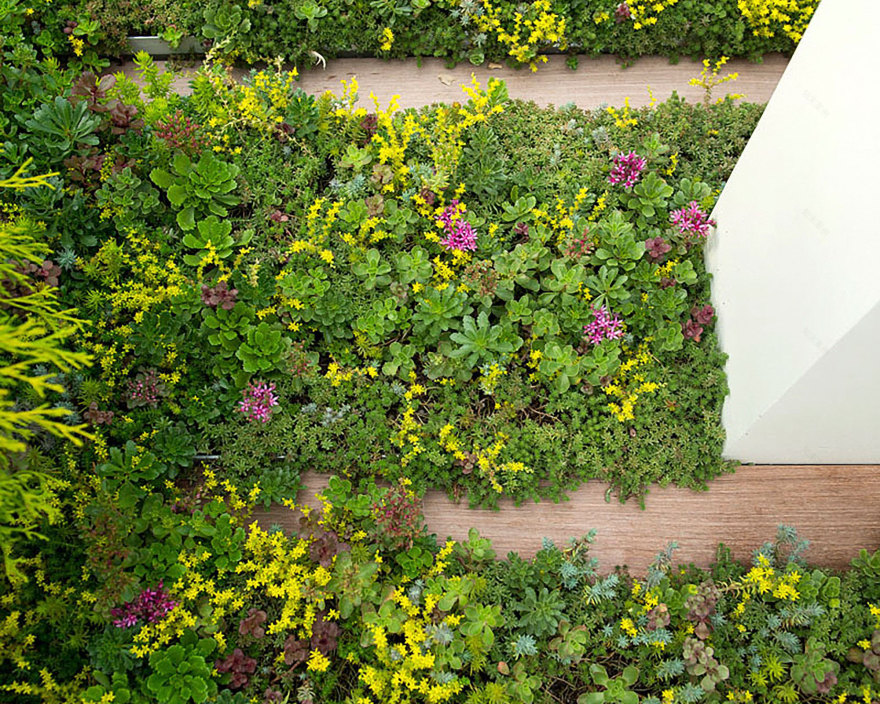 丨美国芝加哥-26