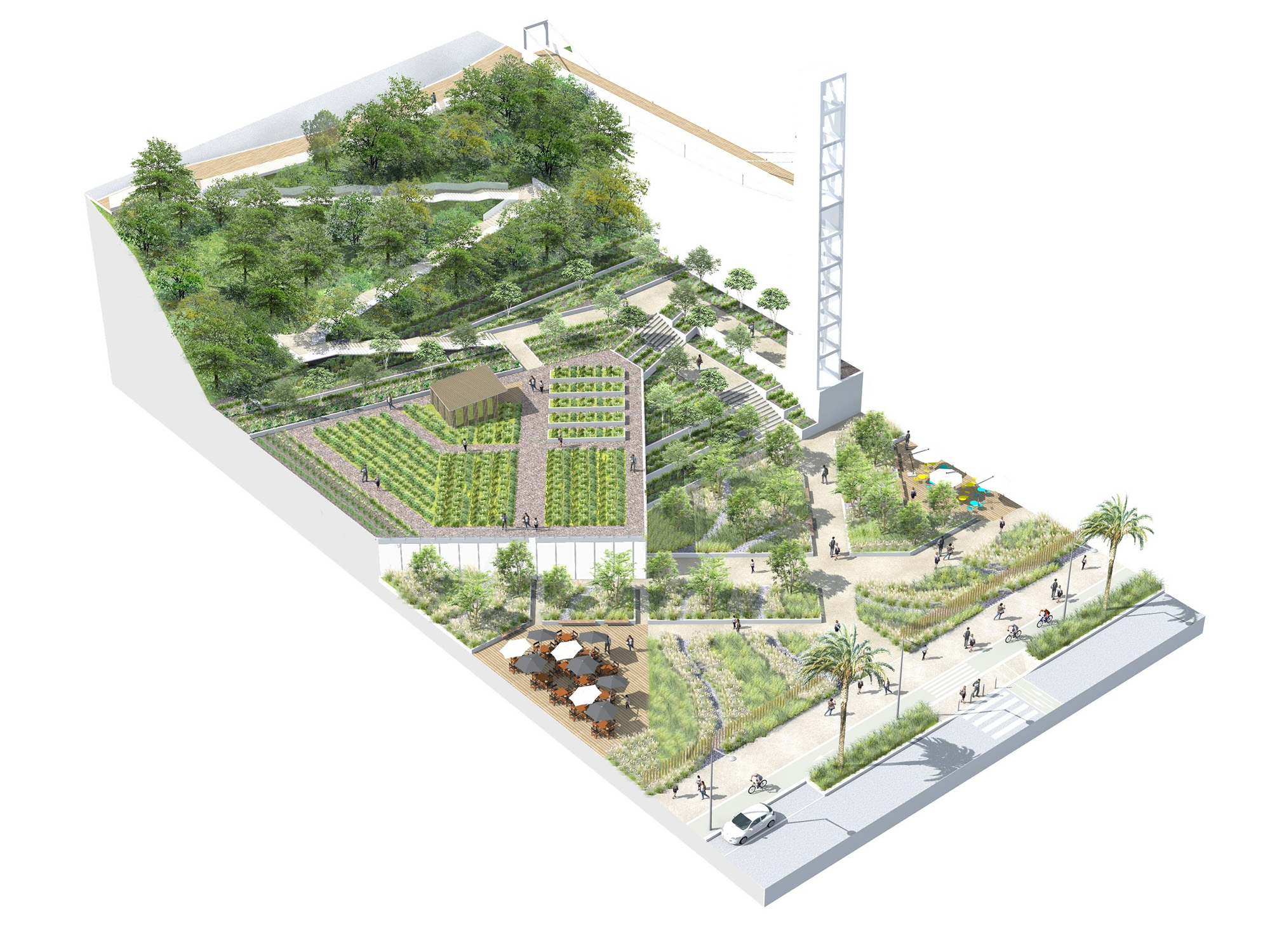 Ilot des Maraîchers - La Compagnie du Paysage-31