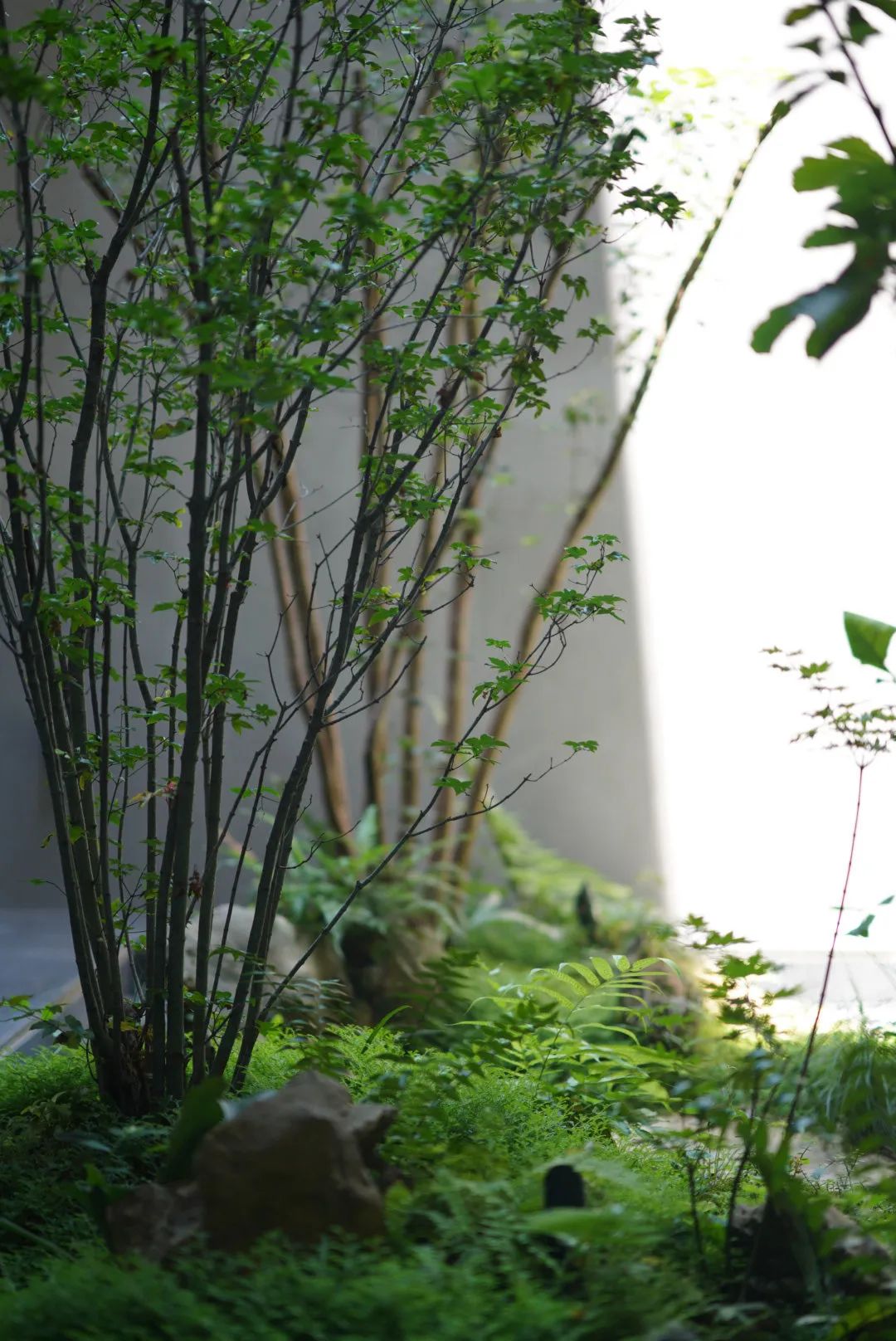 重庆九曲河 600㎡现代别墅丨中国重庆丨彭华设计团队-35