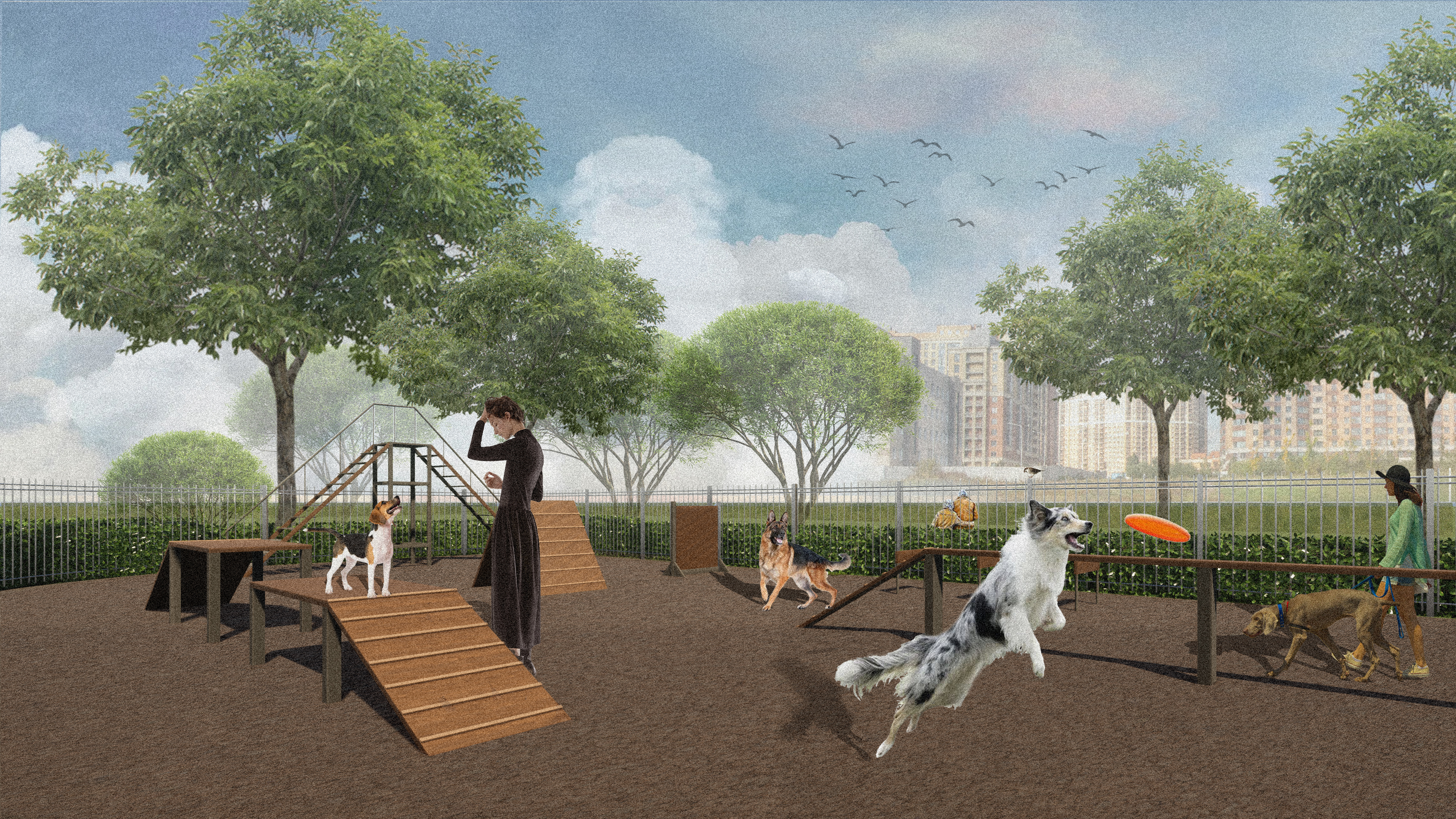 Собачья площадка в парке Оккервиль-0