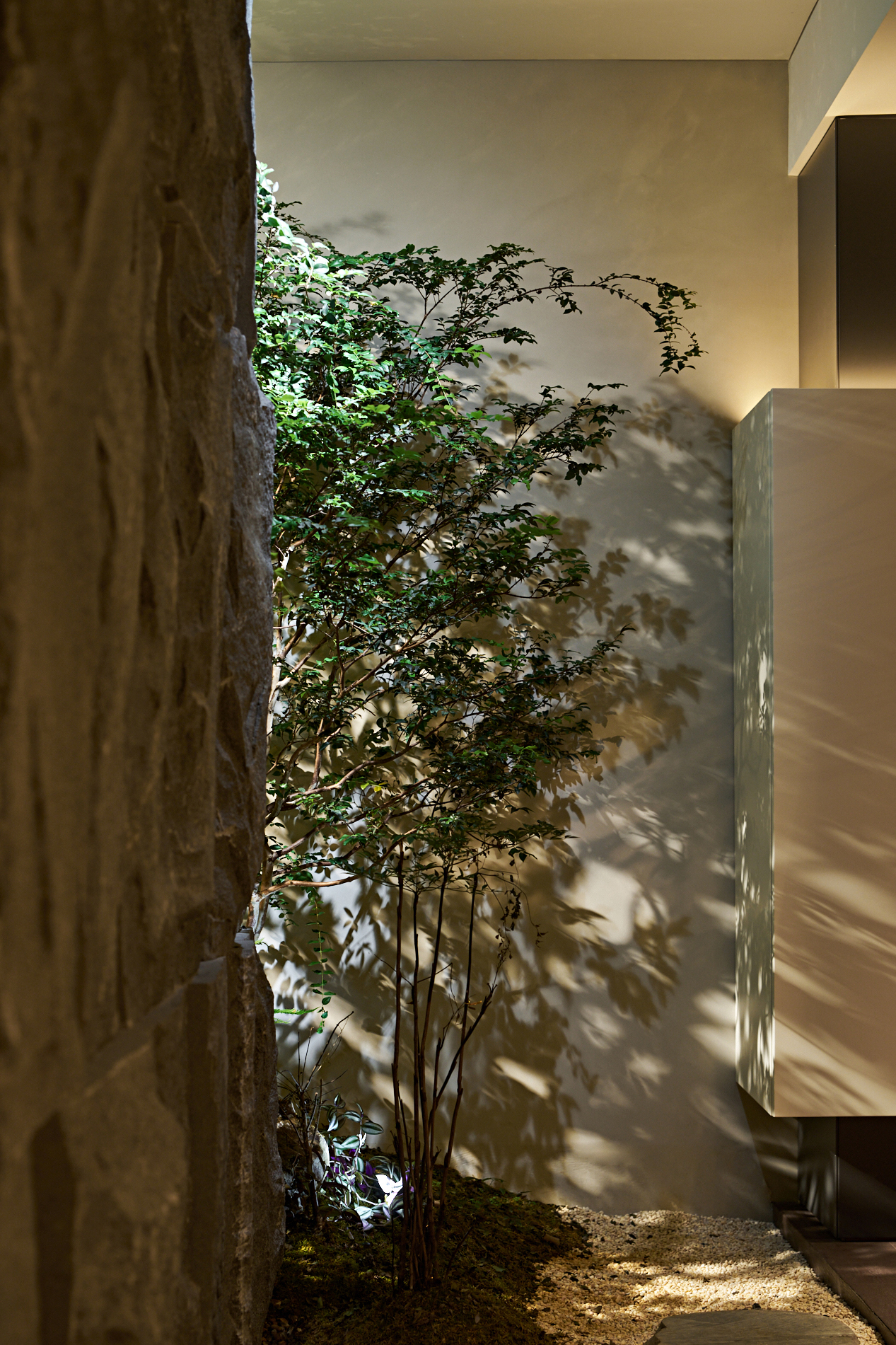 纤体美容抗衰中心丨中国惠州丨土禾空间设计事务所-99