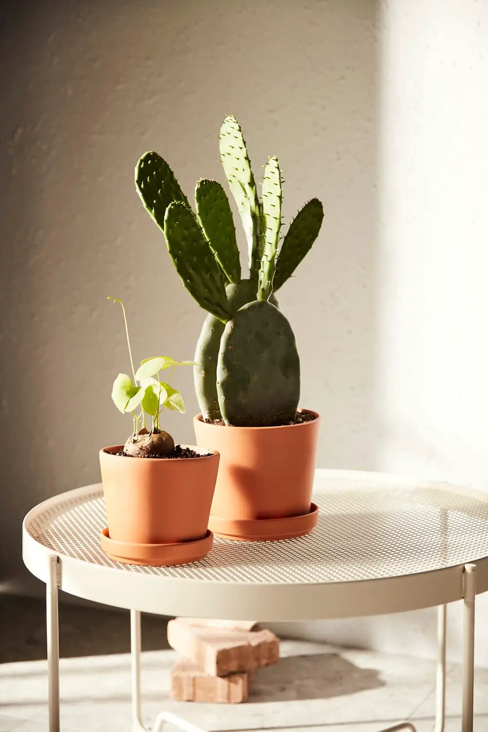 2022 年春季 IKEA 新品盘点 | 54 款新品家居装饰,提前感受春日气息!-9