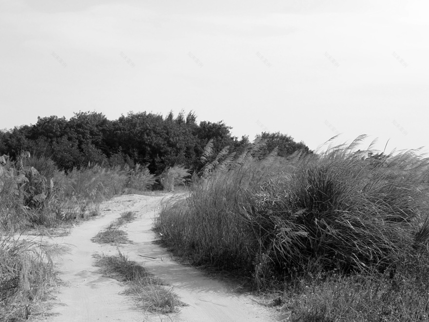 双鱼岛运动集群首开区丨中国漳州丨Yudao Studio昱道景观,Studio 10-217