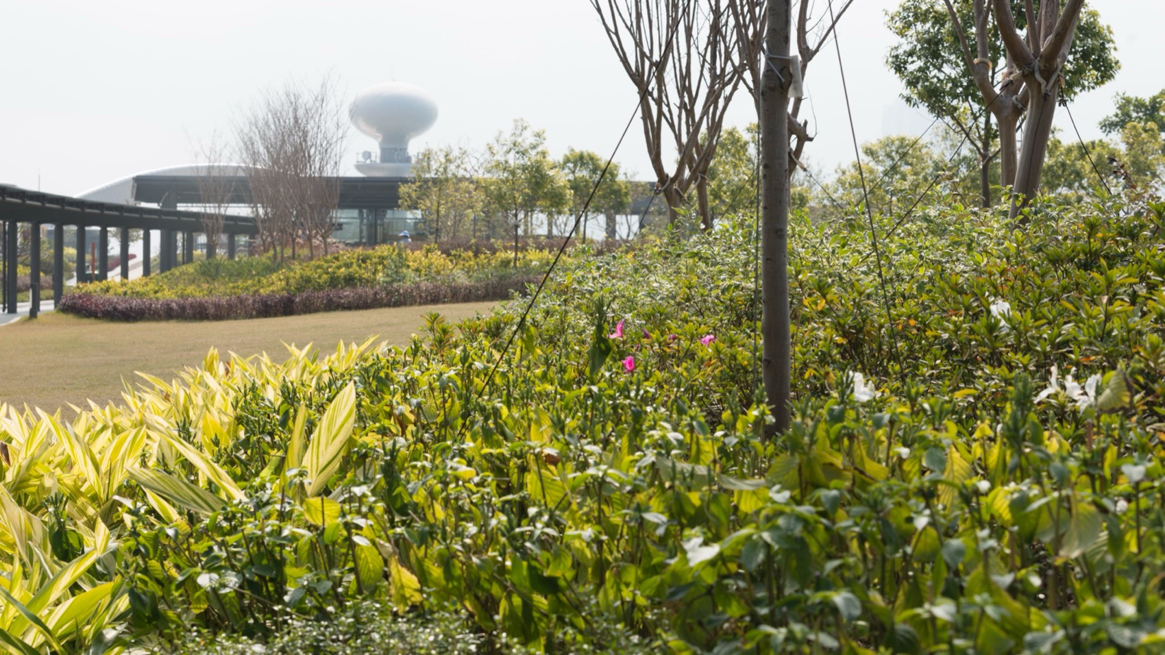 启德邮轮码头丨中国香港丨Foster + Partners-17