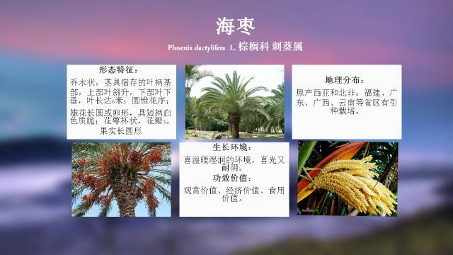 秋凌景观陪伴你学习的第3128天-95