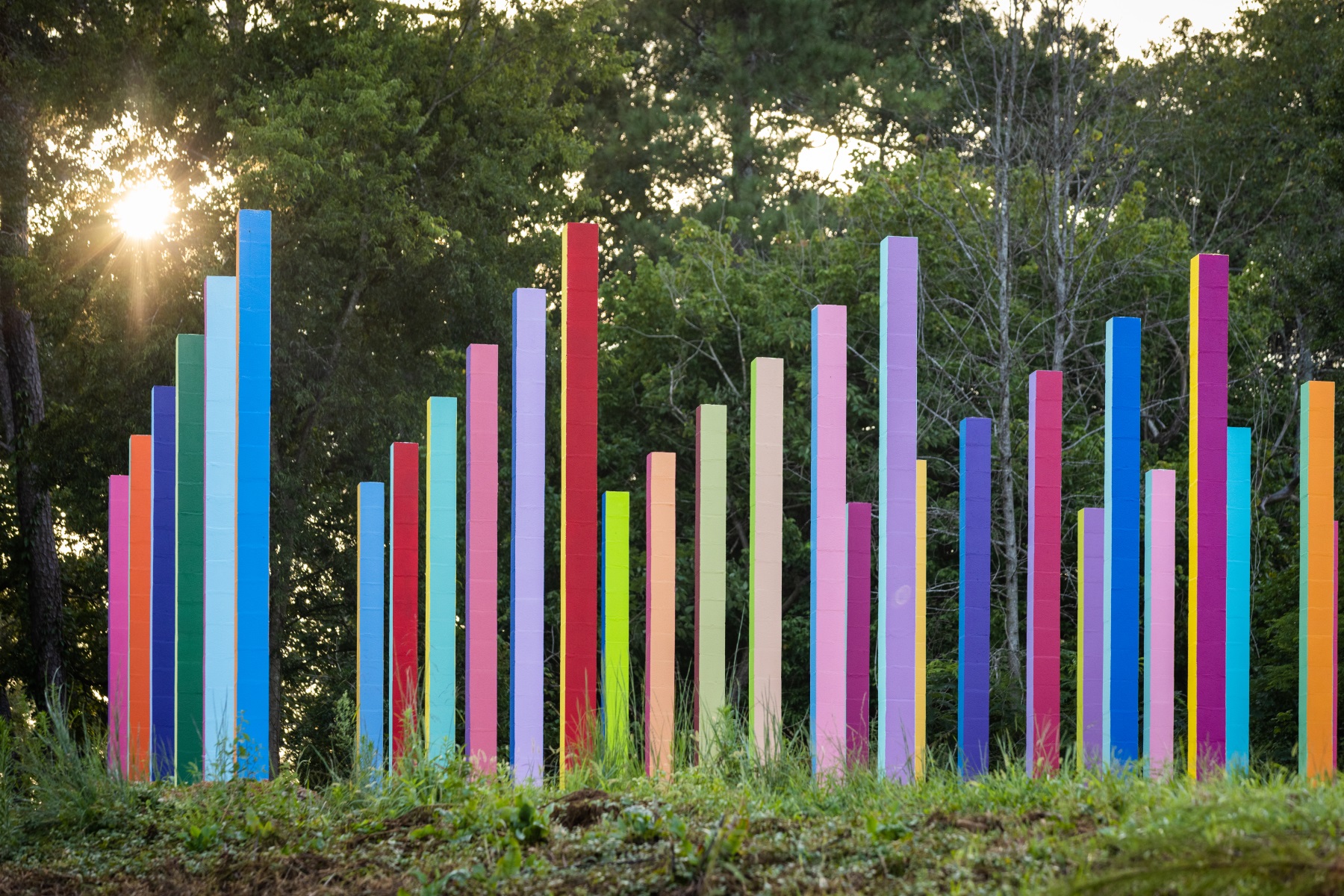 彩虹森林丨美国丨Office Kovacs-17