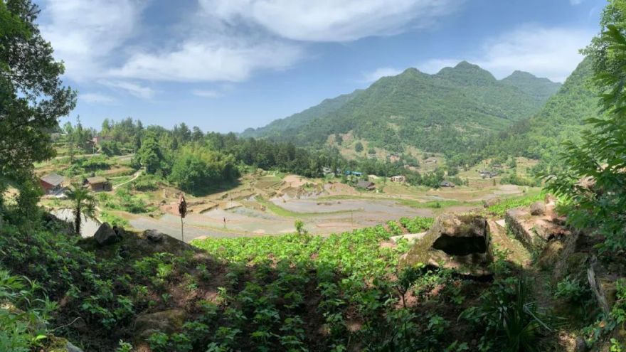 《青榭竹里》 | 即兴创作实践,重拾建筑温度-23