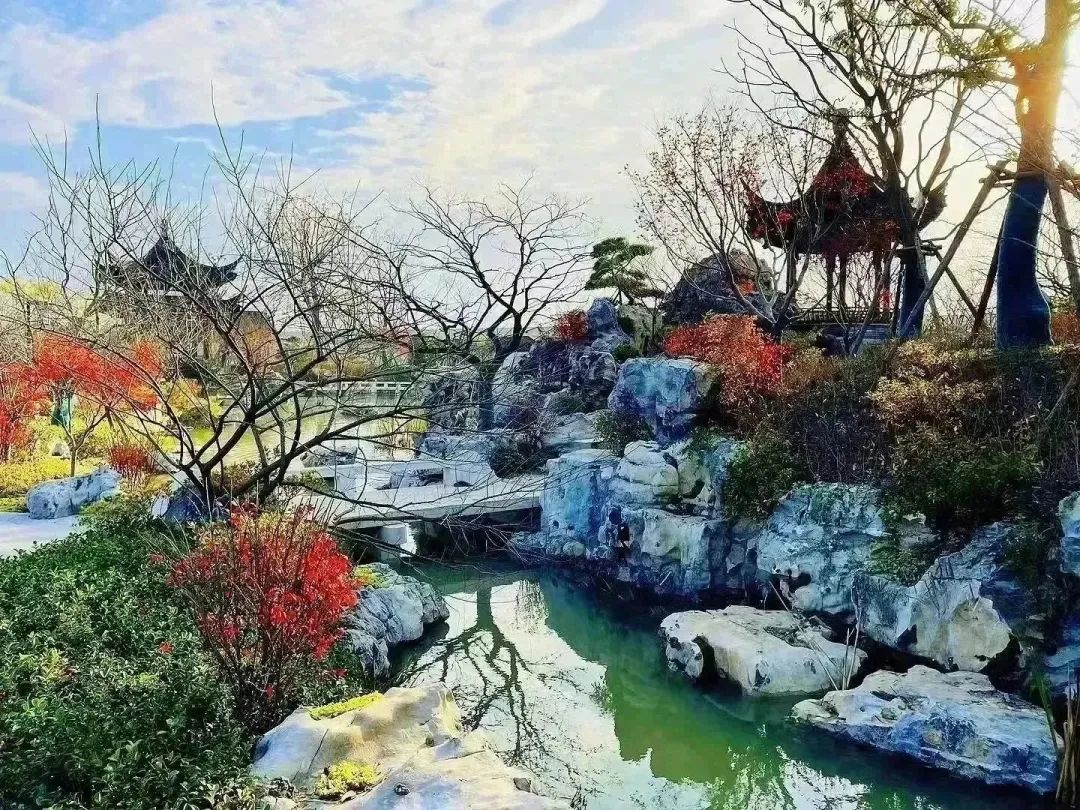 上海沔青公园丨中国上海-5