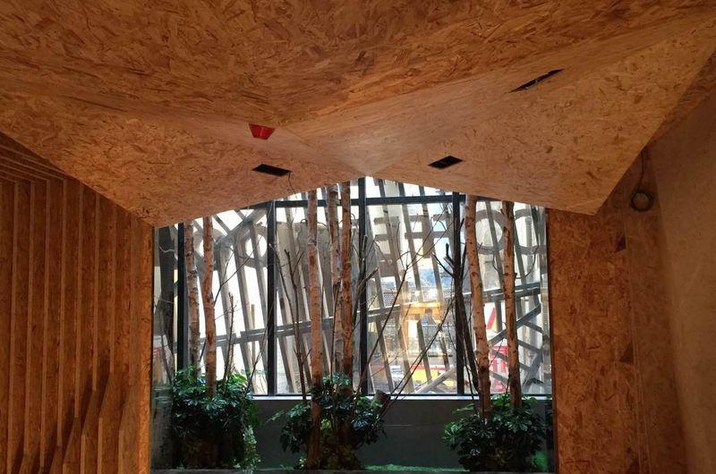 新华书店-仿真植物-3