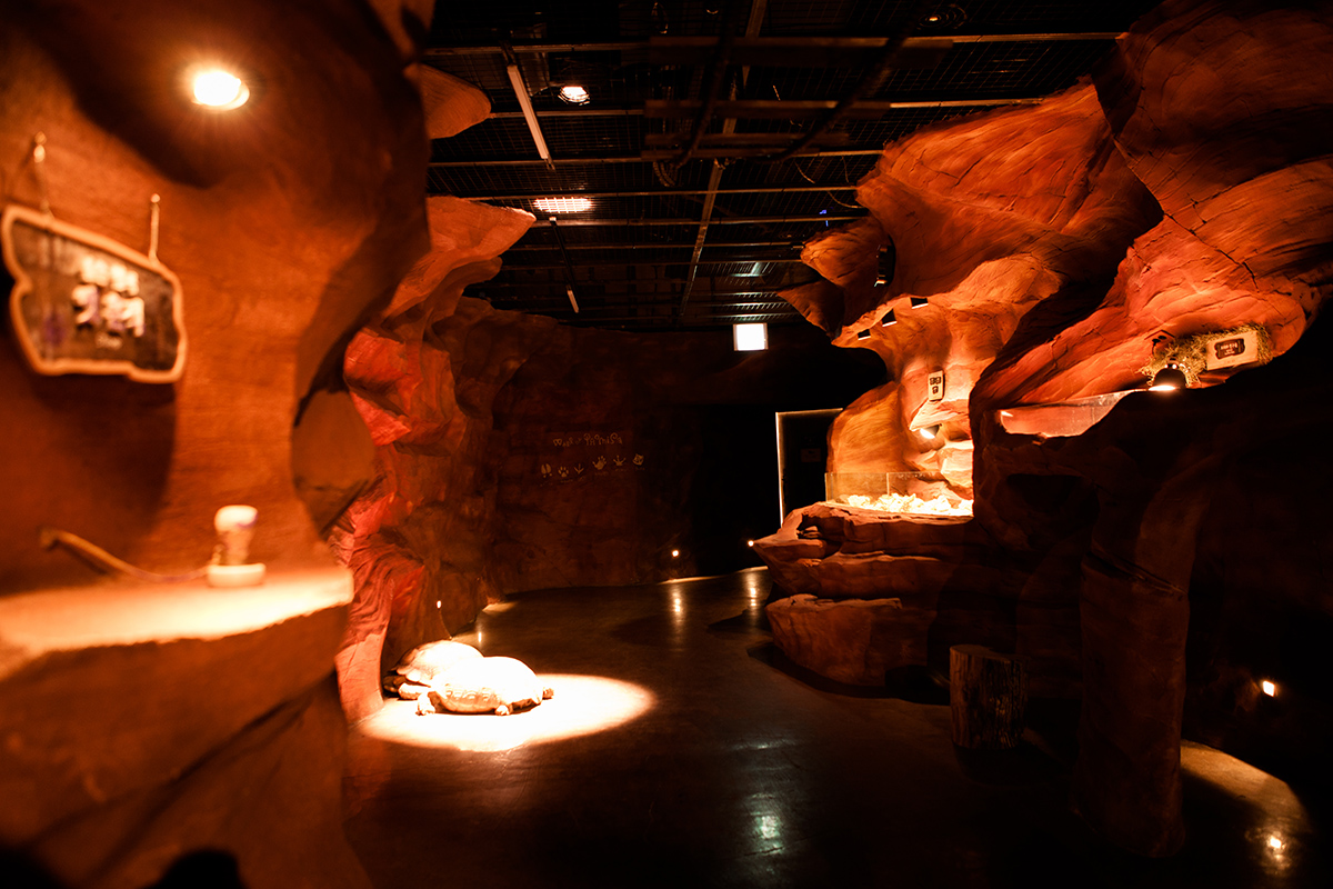 주렁주렁 하남점 인테리어 - 인테리어 디자인 회사 디자인다나함-25