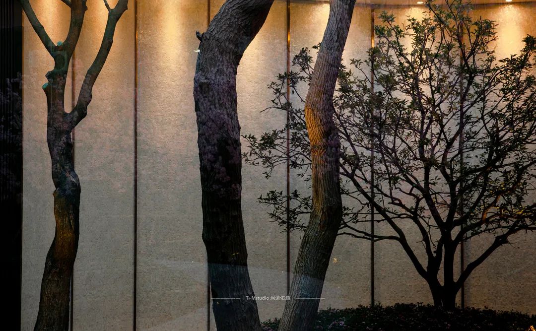 武汉龙湖·天玺体验区丨中国武汉丨上海澜道佑澜环境设计有限公司-66