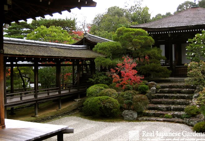 Ninna  ji（仁和寺）丨日本京都-7