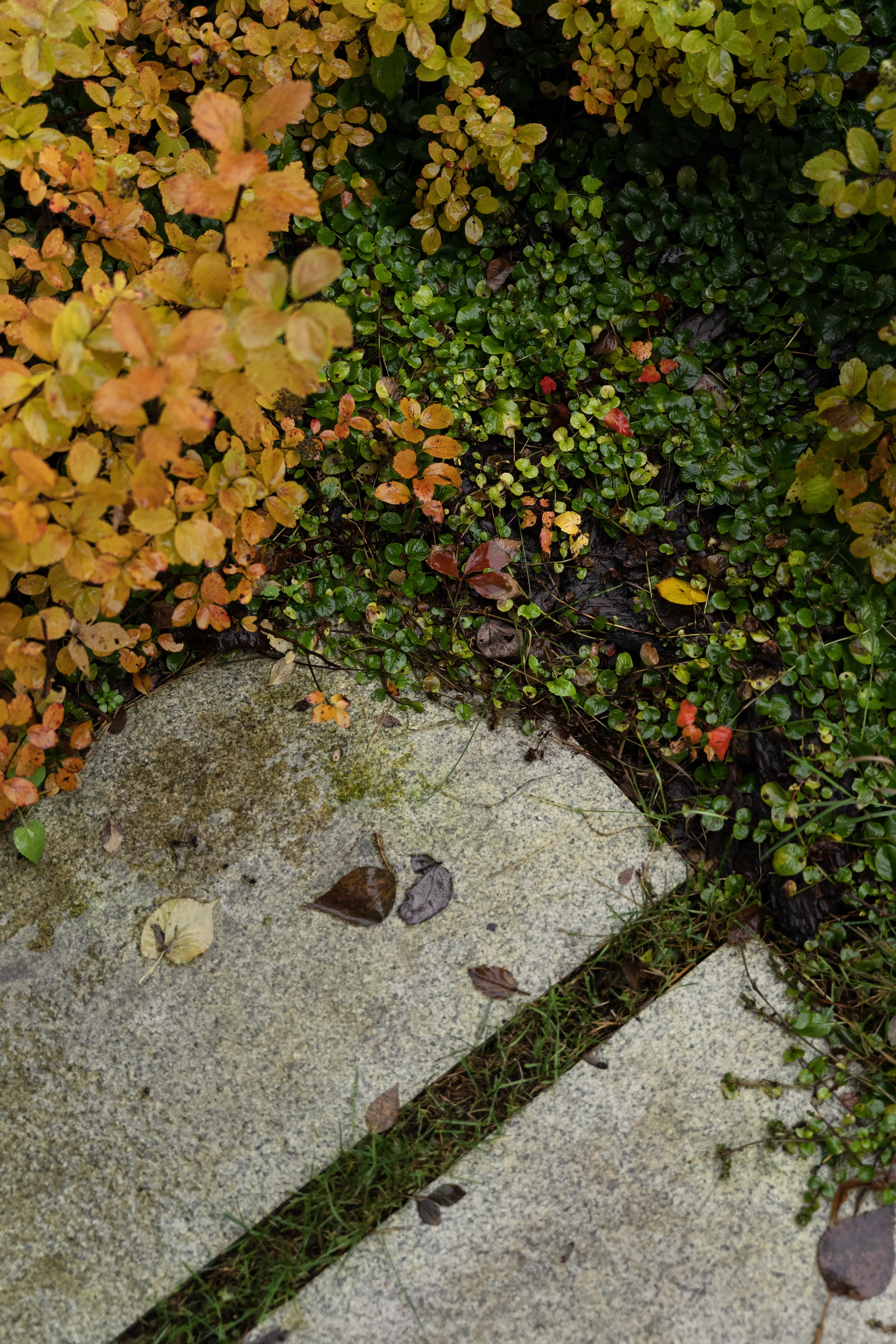 梦幻之家丨俄罗斯莫斯科丨Tsimaylo Lyashenko & Partners-10