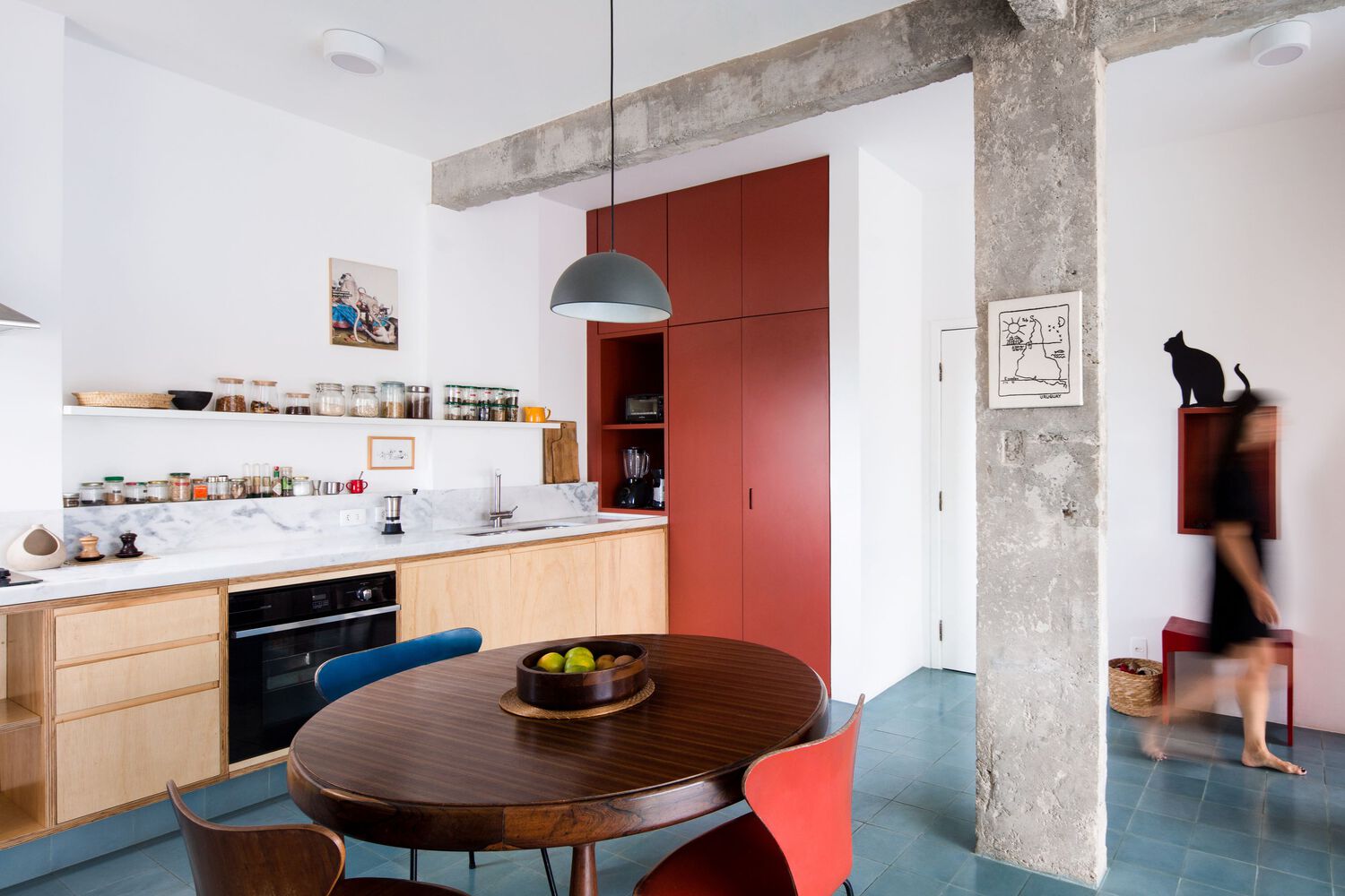 巴西圣保罗 Alameda Barão de Limeira 公寓翻新设计-18