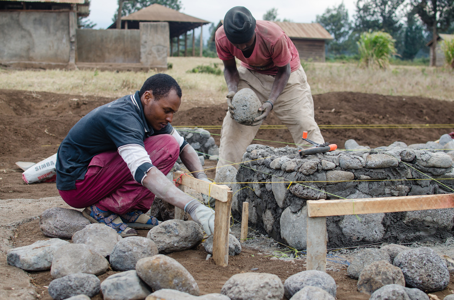 阿马尼图书馆-41