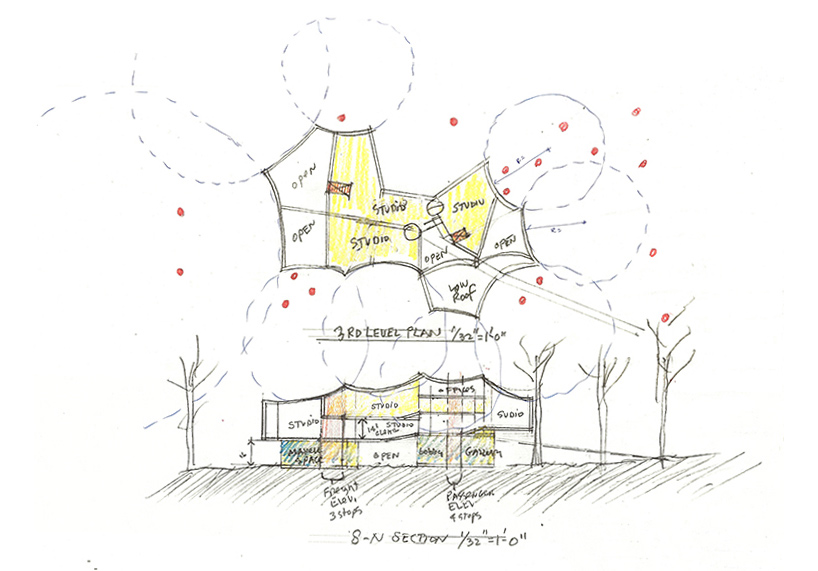 因树塑形的视觉艺术馆——斯蒂文·霍尔-3