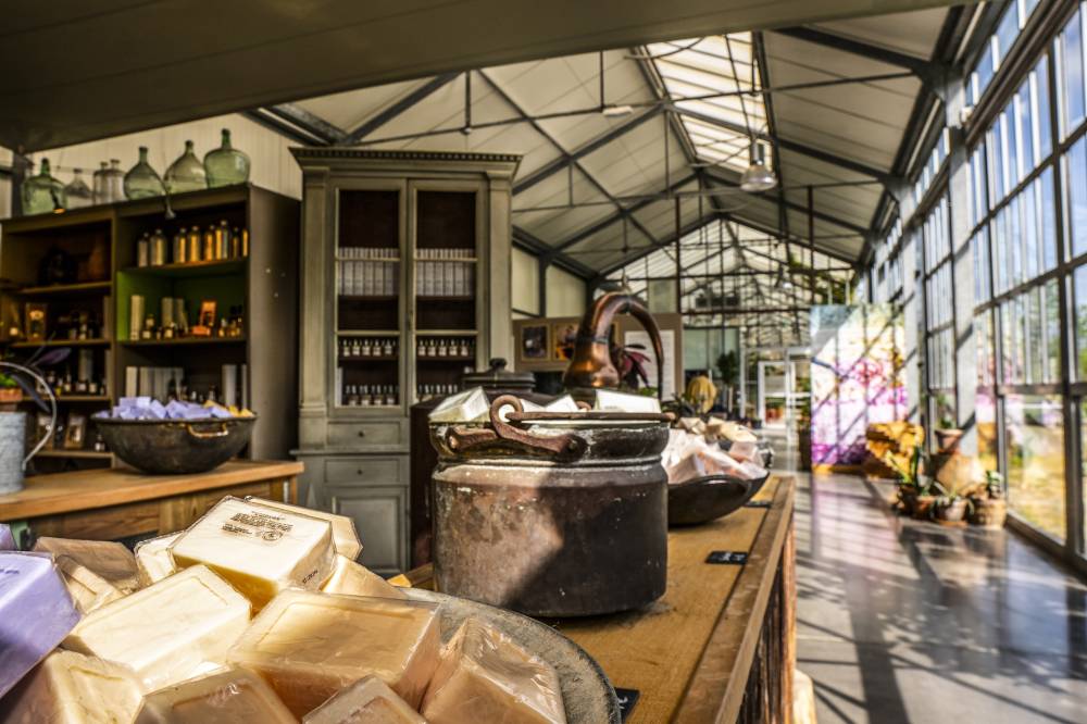 The Gardens of the International Perfumery Museum - France-8