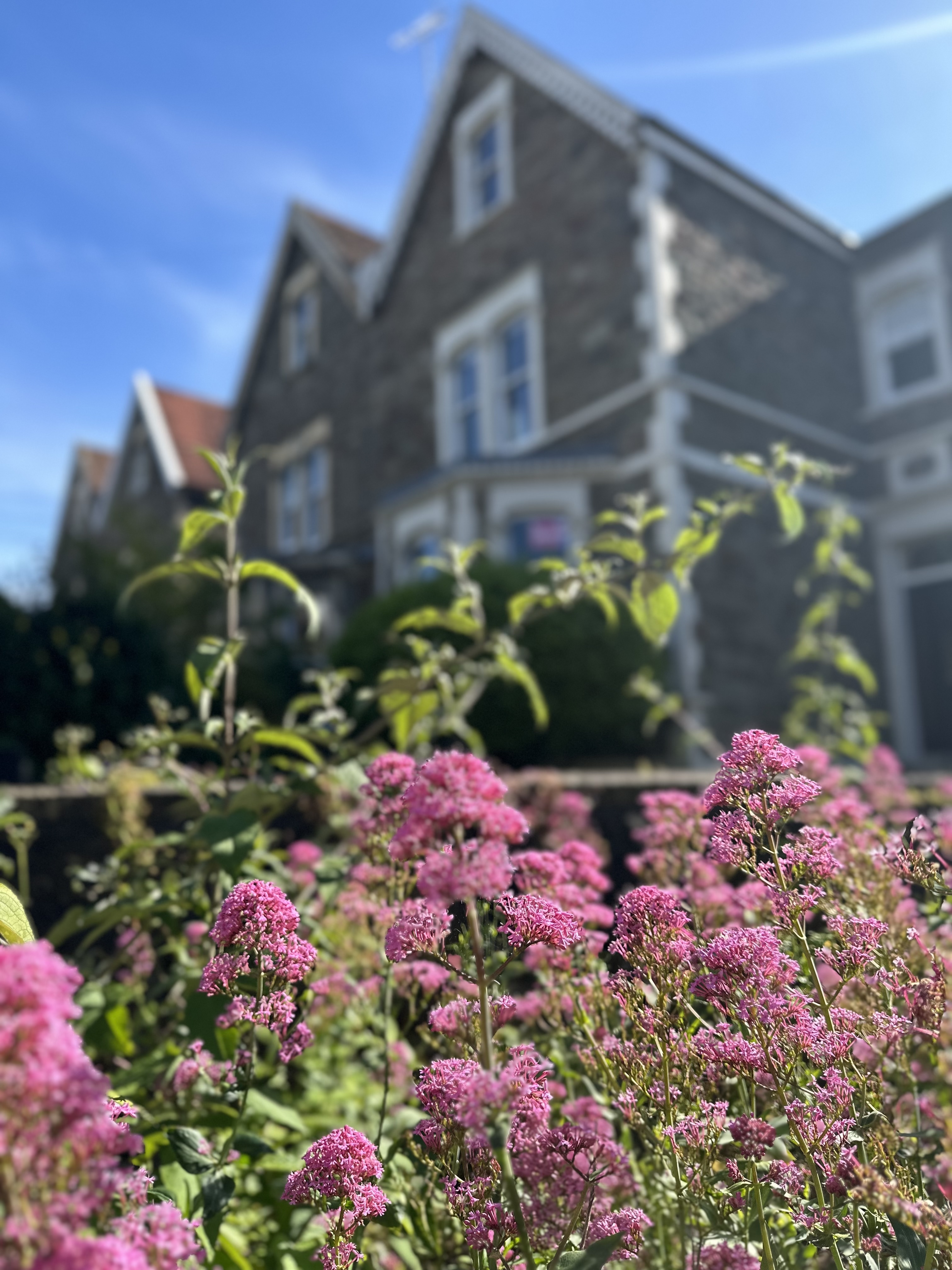 The Beauty of Bristol-11