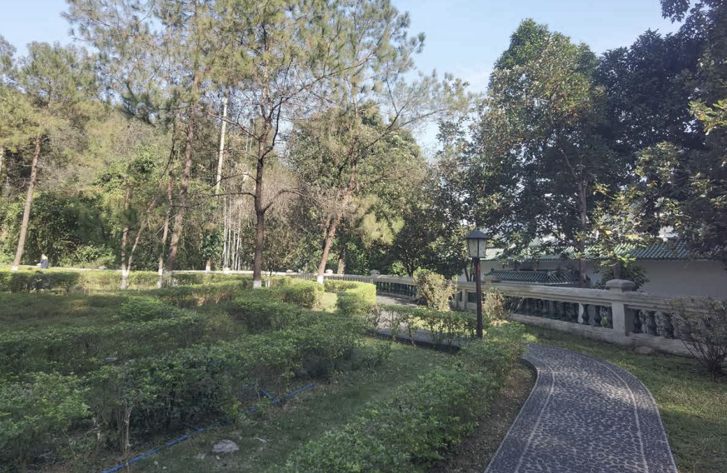 广东温泉宾馆松园一号户外园林景观改造工程丨中国广州-55