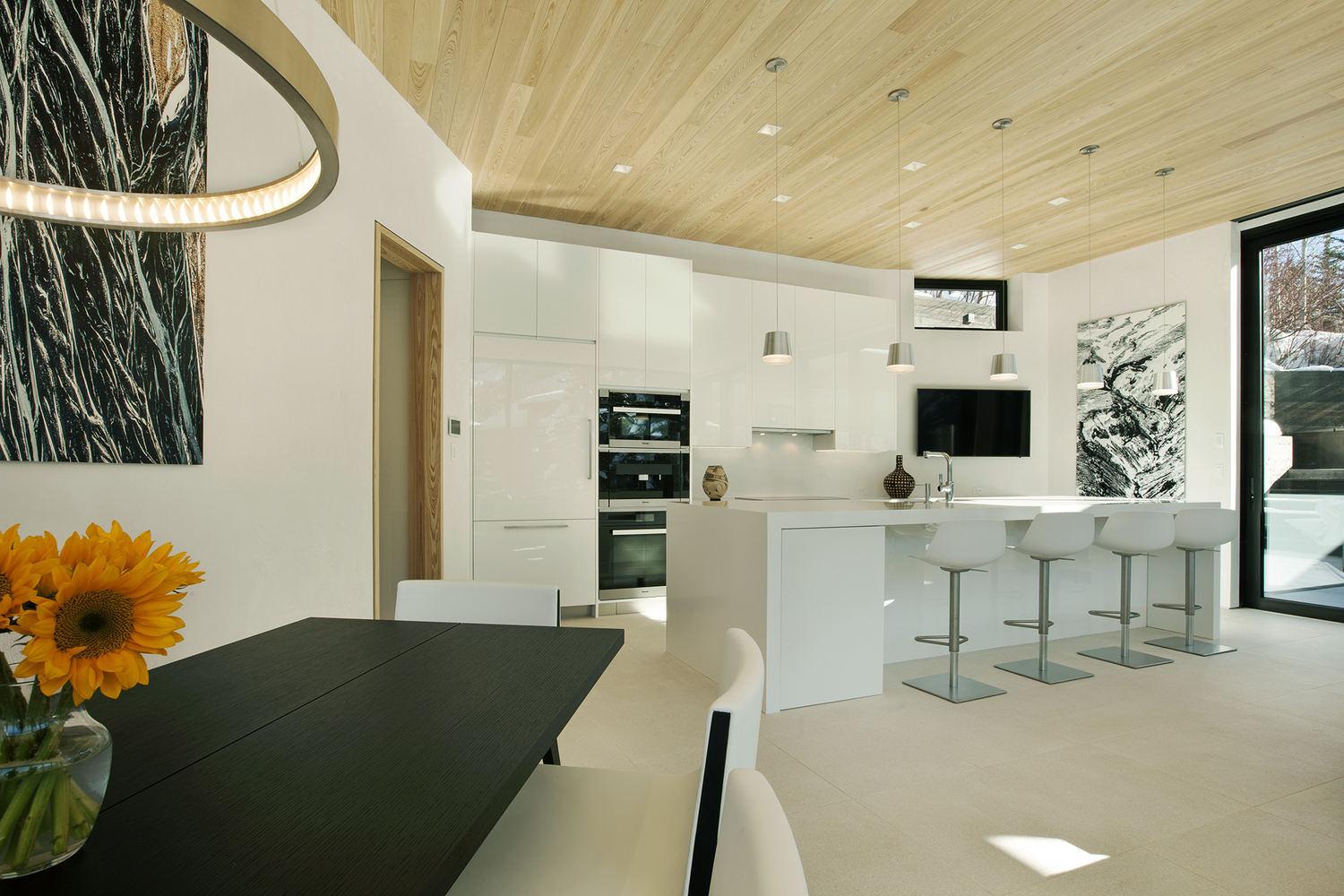 美国阿斯彭的锌之家-38