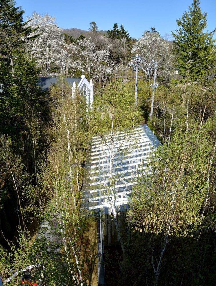 融于自然的 Birch Moss Chapel-17