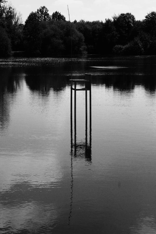 Etangs d'art 2014 :  -10