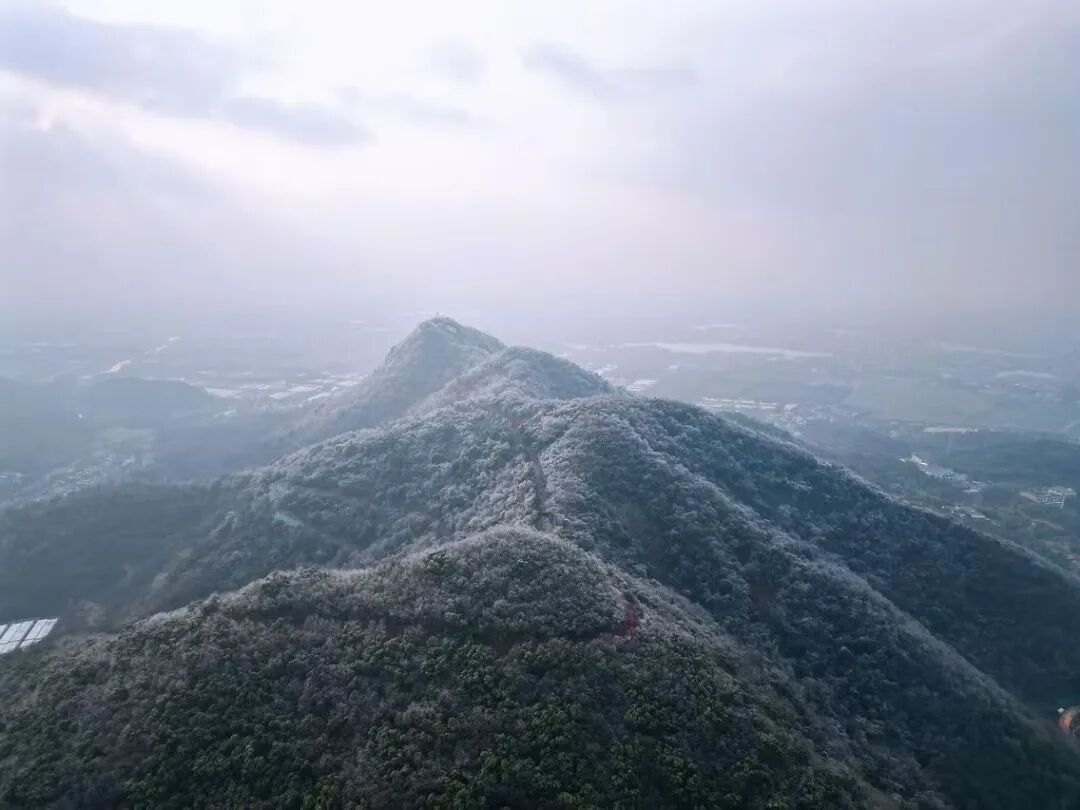 【一线写真】超山之上裁剪匠心，中建八局建设者重塑“观梅金名片”-39
