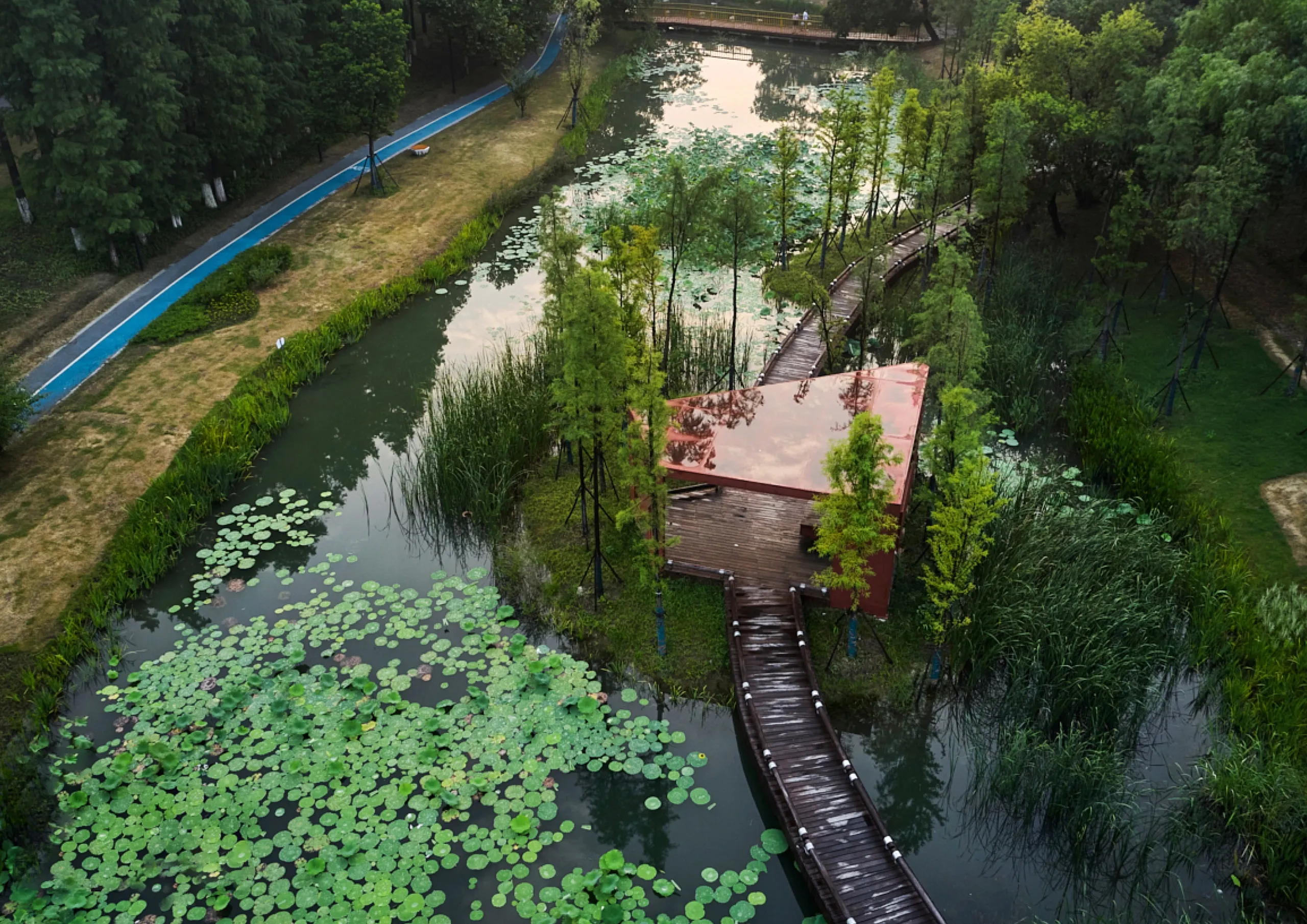 【案例分享】大溪港湖湾儿童友好湿地公园-19
