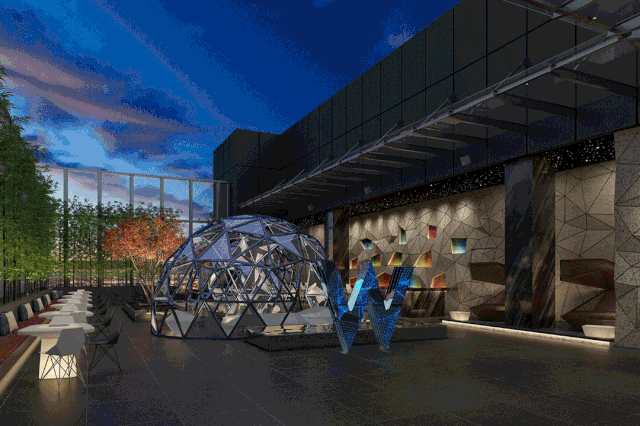 Top Case/ [骚到爆+屌炸天]的成都W酒店-9