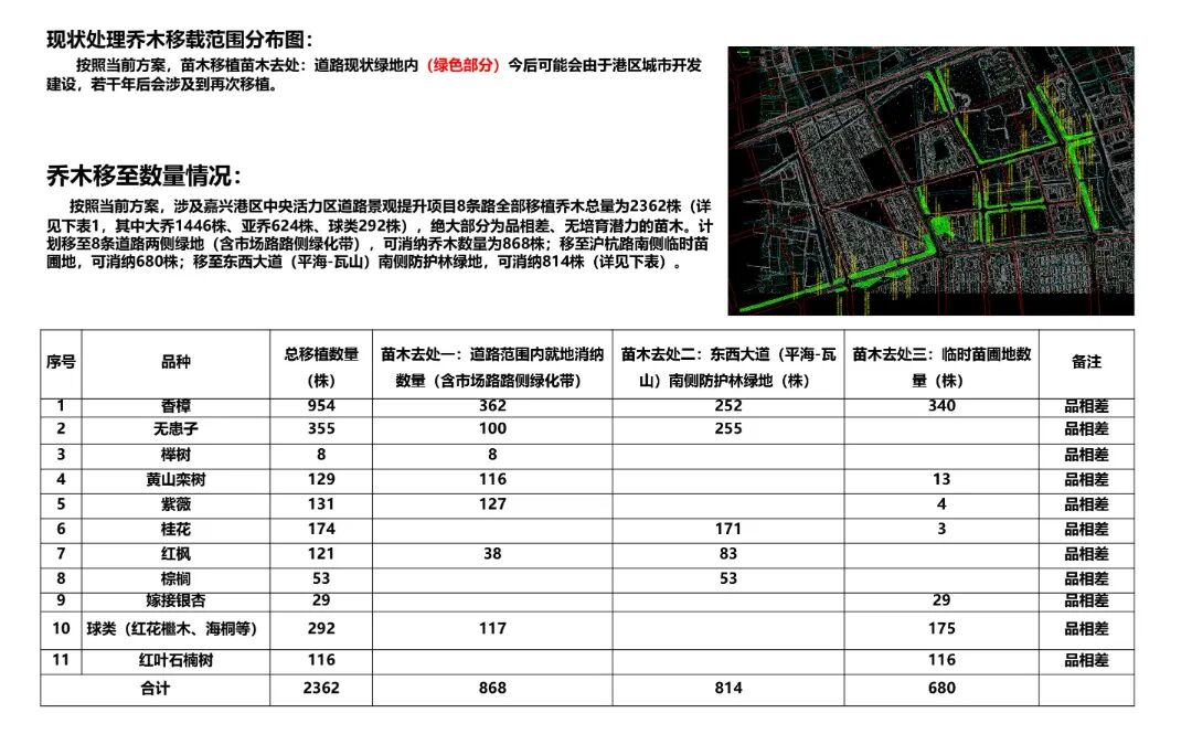 2024年度院优项目|嘉兴港区中央活力区道路景观设计实践——滨海盐碱地生态修复与城市美学融合的典范之作-37