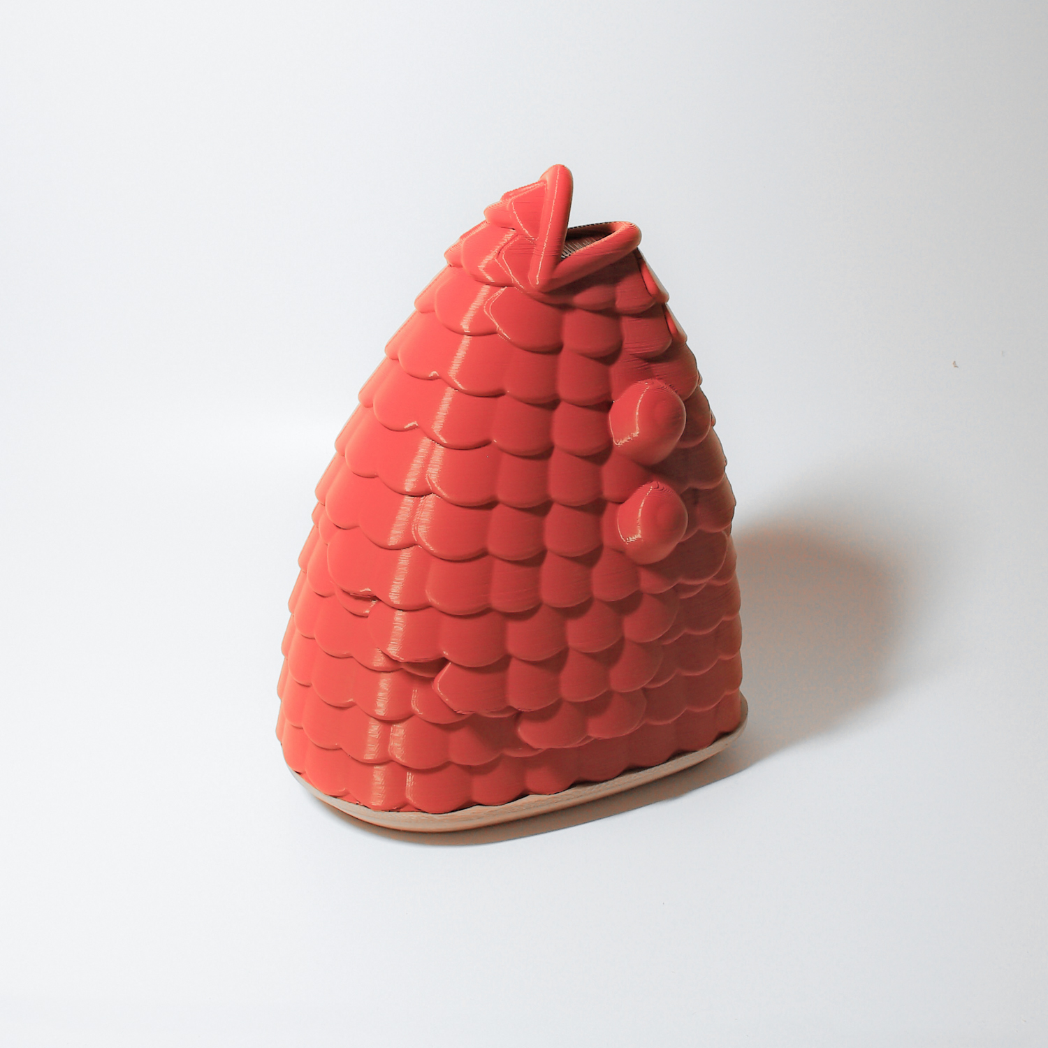 PECES — arquimaña-14