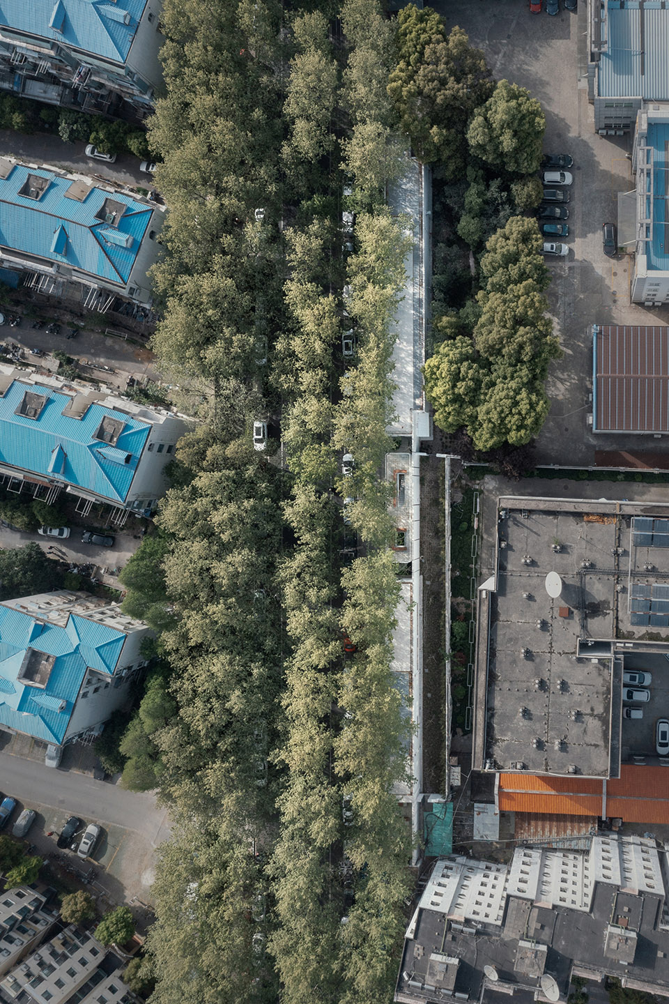 沪东实验（博兴路柳埠路沿线社区公共空间系列更新）丨中国上海丨VIA维亚景观-94