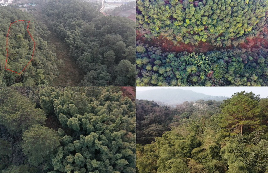 峨眉山会宗书院建筑设计丨中国眉山丨上海尤安建筑设计股份有限公司-13