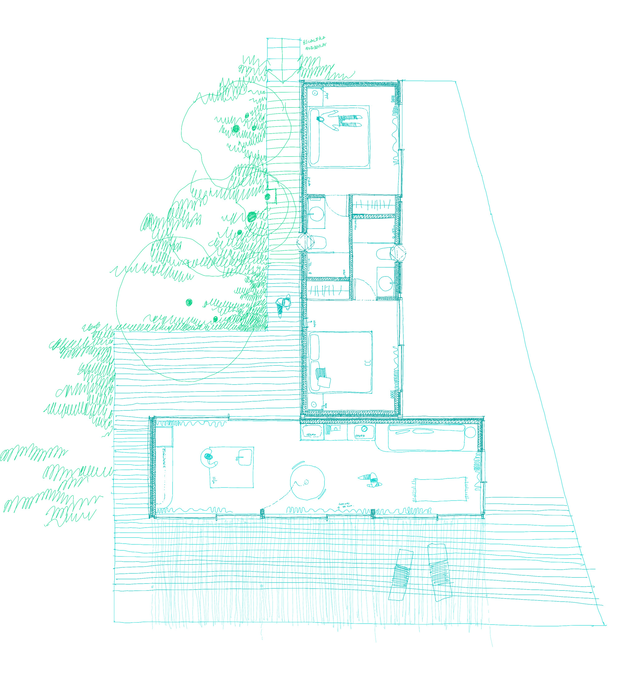 丨西班牙丨delavegacanolasso-47