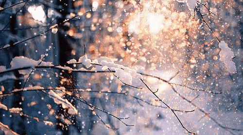 醉是一抹中海蓝 | 苏州 中海 · 上东区-3