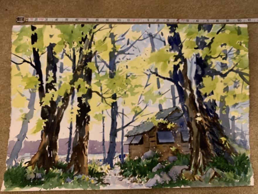 Harry Senger Watercolors相关画作展示-44