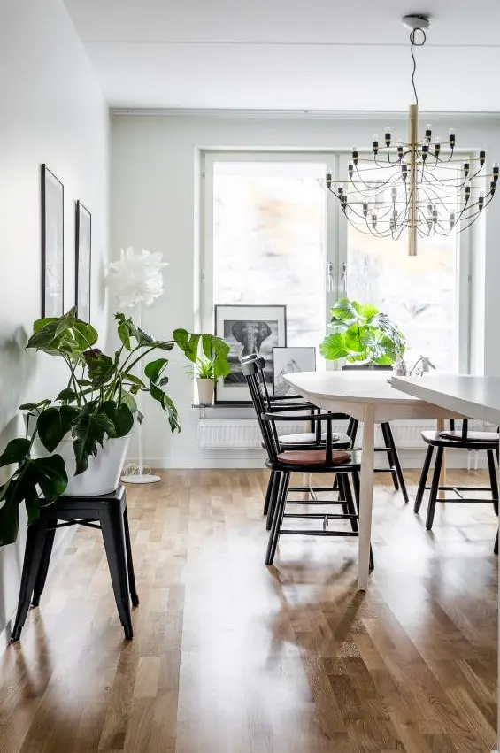 镜子的创意安装 | 藏在沙发后的艺术-14